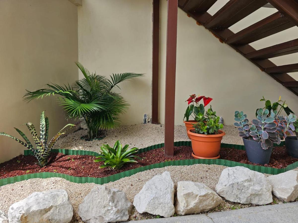 Appartement Volcano View